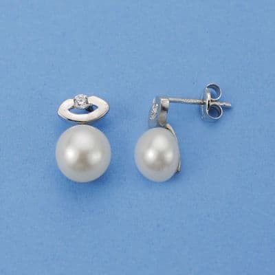 Item:13217