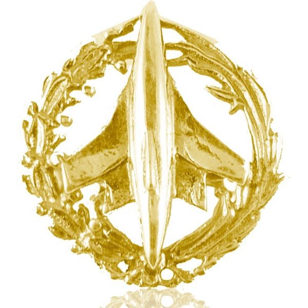 18K INSIGNIA INGENIERO AVIACIÓN